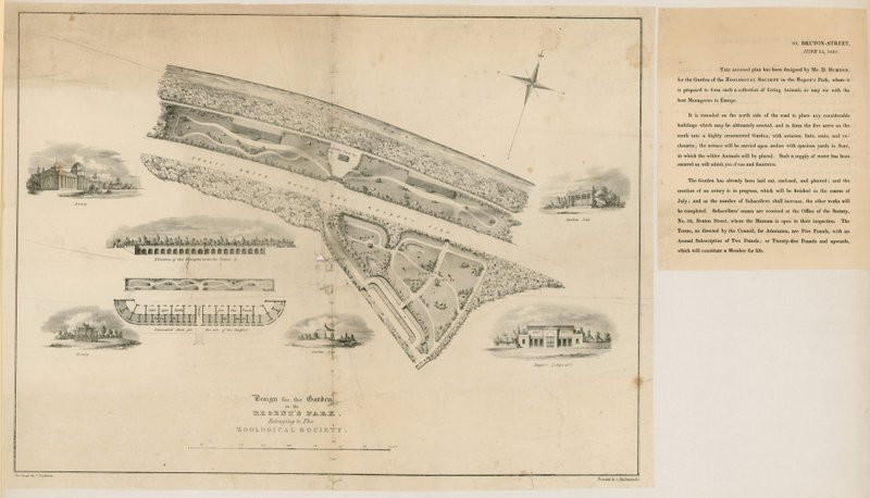 Hayvanat Bahçeleri Planı, Regents Park, 1827 by English School