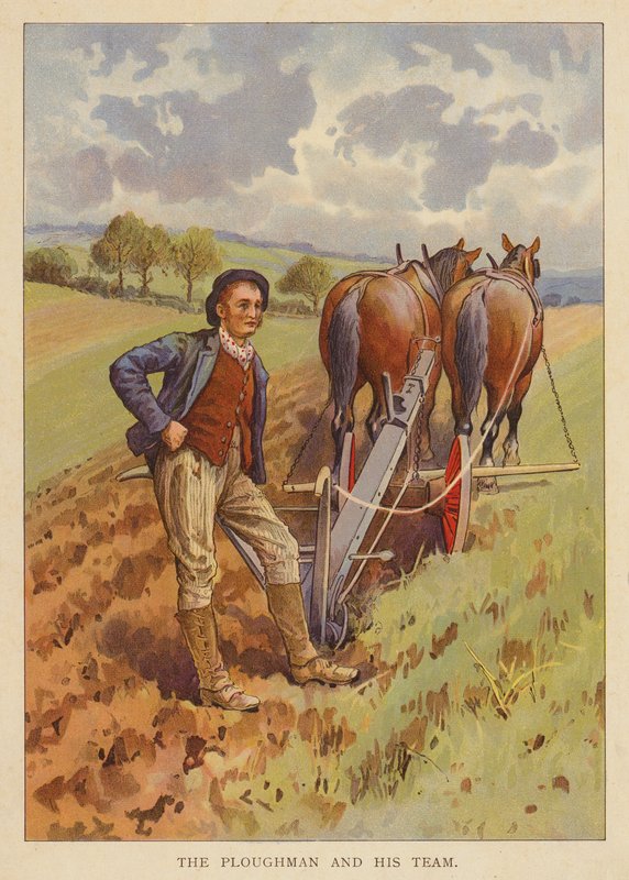 Ploughman ve ekibi (renkli litho) by English School