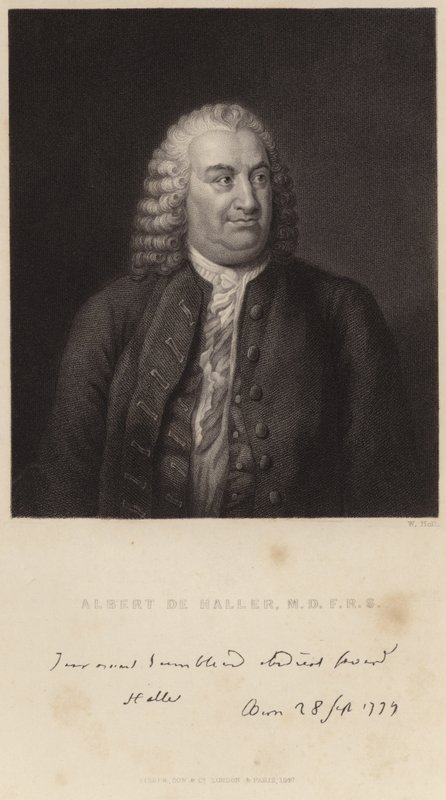 Albert de Haller