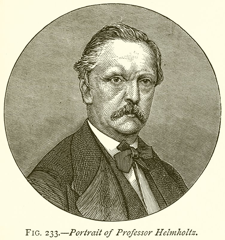 Profesör Helmholtz'un Portresi by English School