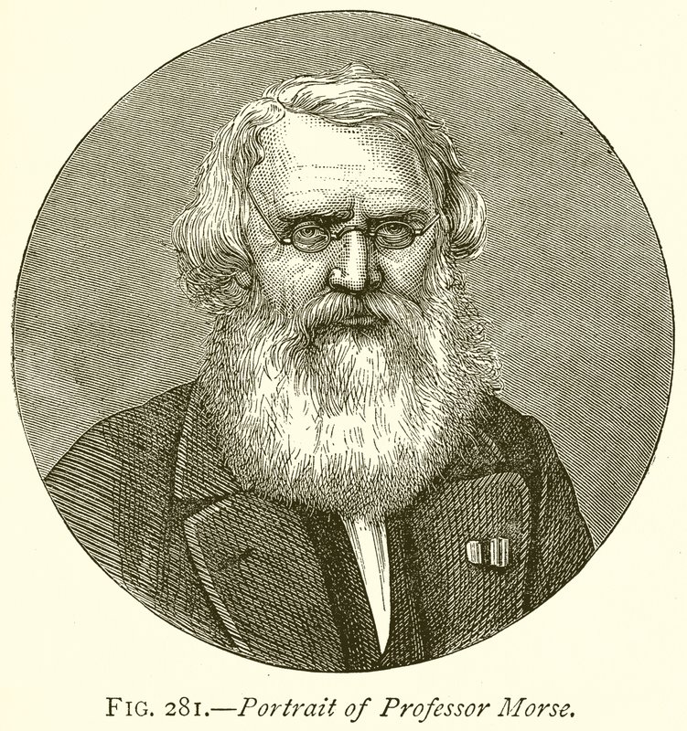 Profesör Morse