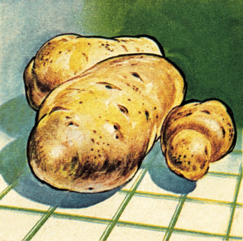 Patates by English School