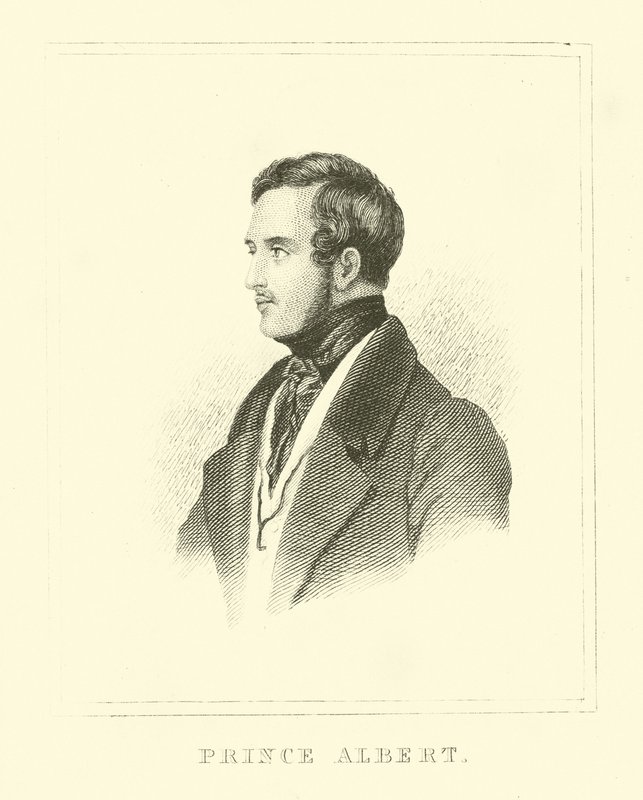 Redingot by English School