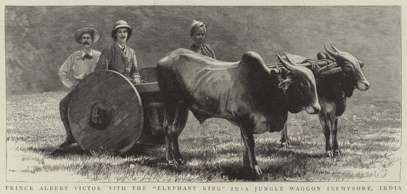 Prens Albert Victor, Hindistan