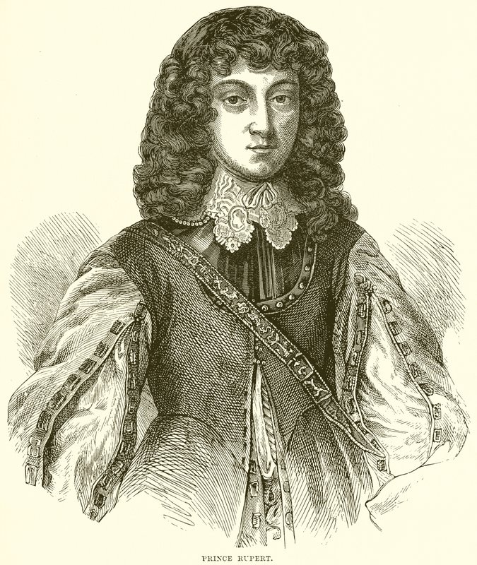 Prens Rupert by English School