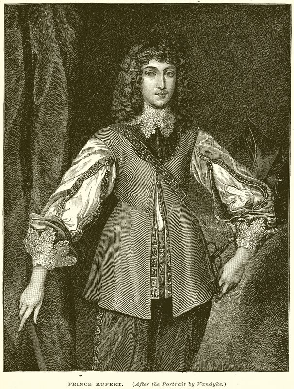 Prens Rupert by English School