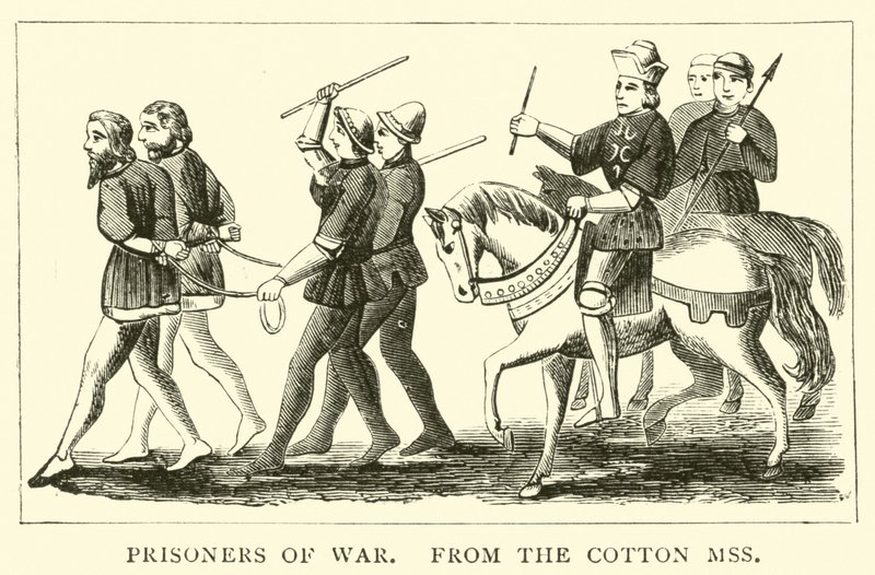 Cotton Mss