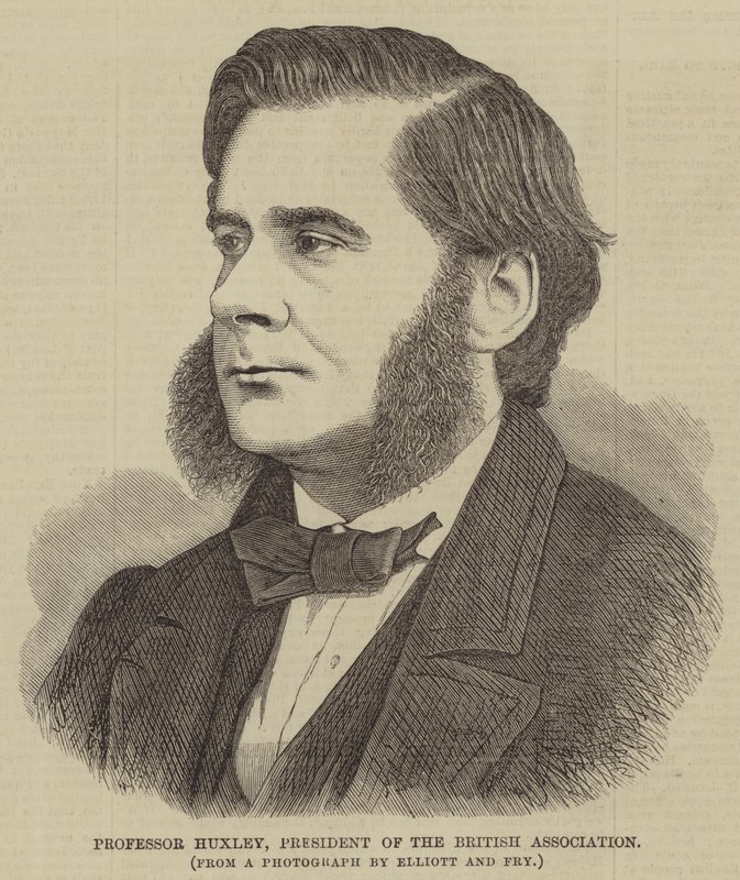 Profesör Huxley, İngiliz Derneği Başkanı (gravür) by English School