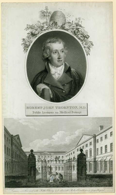Profesör John Thornton, Tıbbi Botanik Konusunda Kamu Öğretim Üyesi by English School