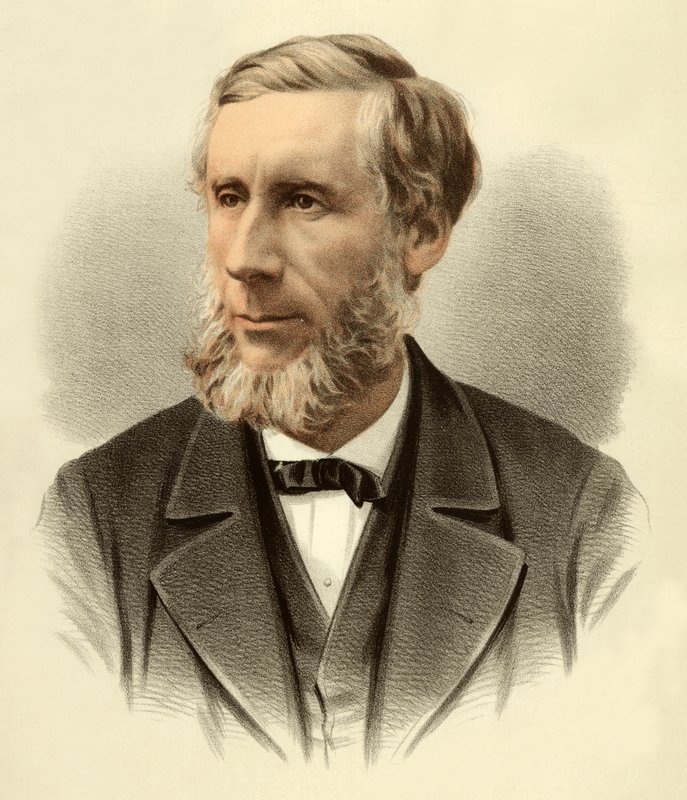 Profesör John Tyndall by English School
