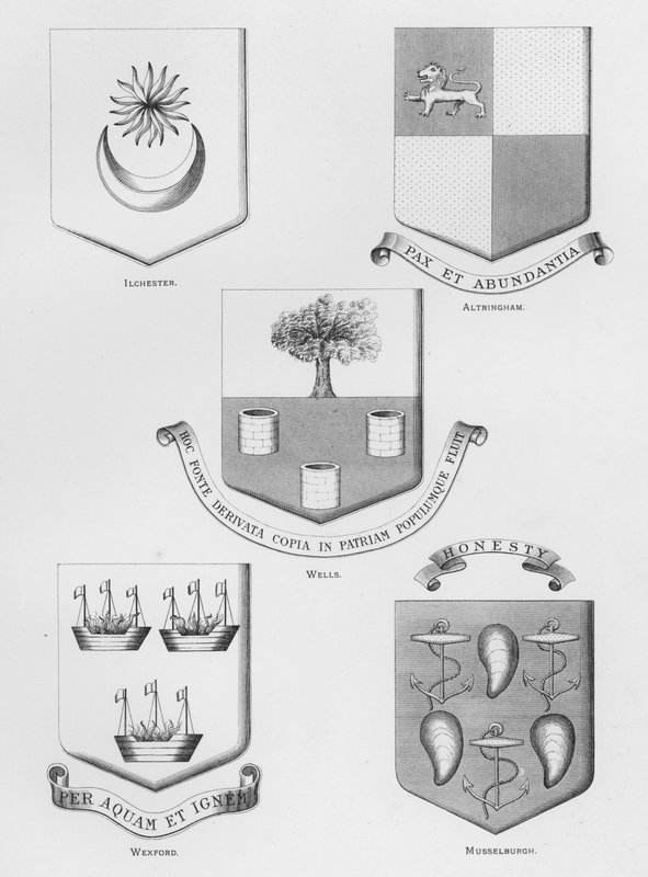 Kamu silahları: Ilchester; Altringham; kuyular; Wexford; Musselburgh (gravür) by English School
