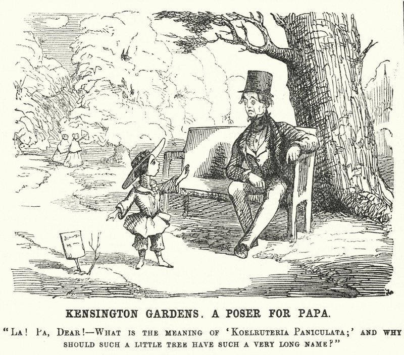 Punch karikatür: Londra Kensington Gardens