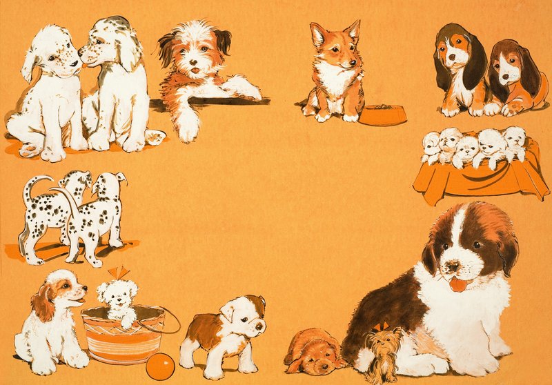 köpek yavrusu by English School