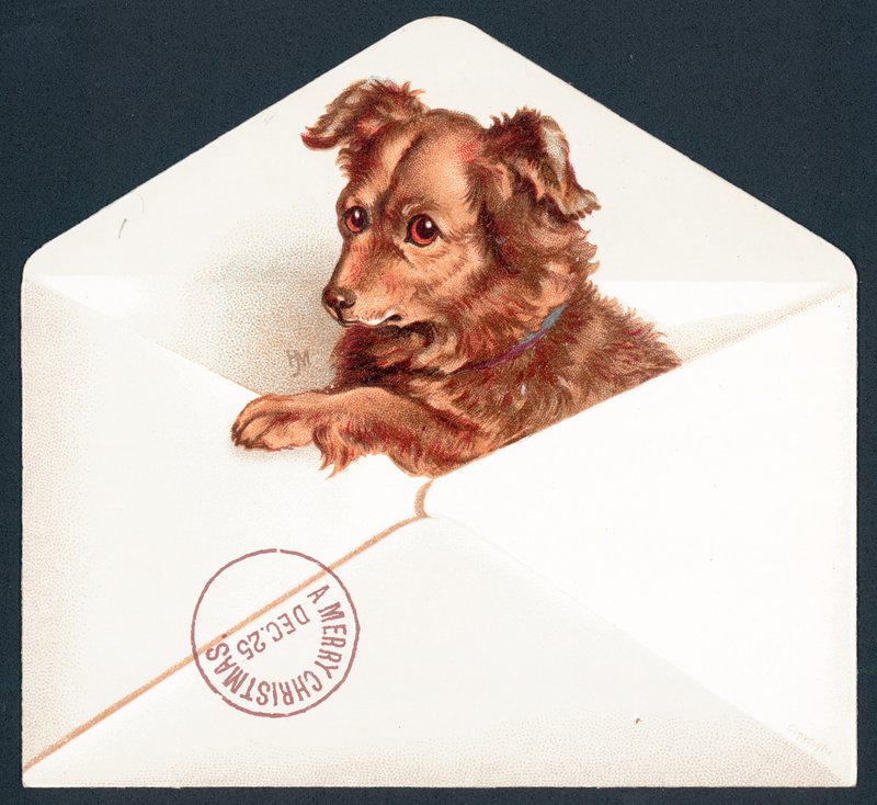 Zarfta köpek yavrusu, Noel kartı by English School