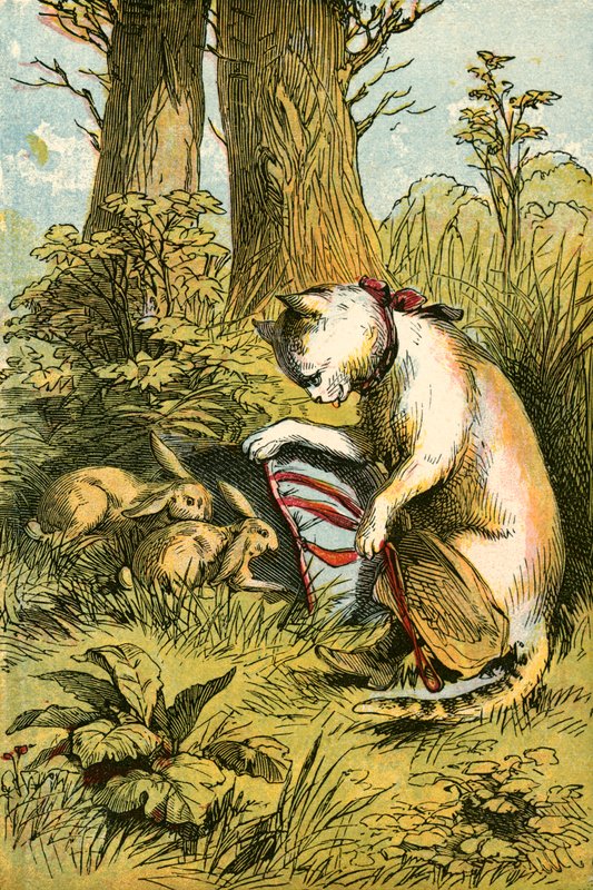 Tavşanları yakalayan kedi by English School