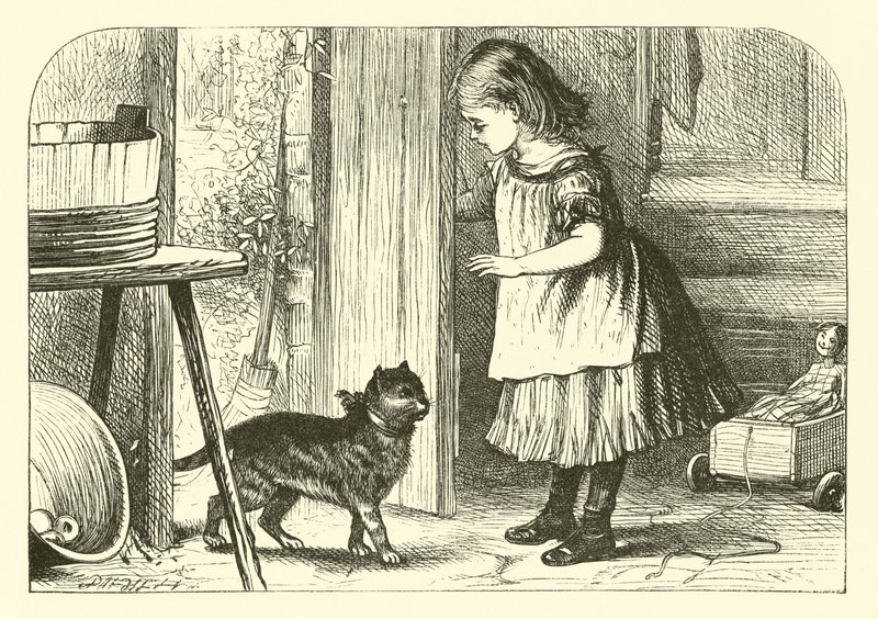 Kedi-Kedi, Kedi-Kedi by English School