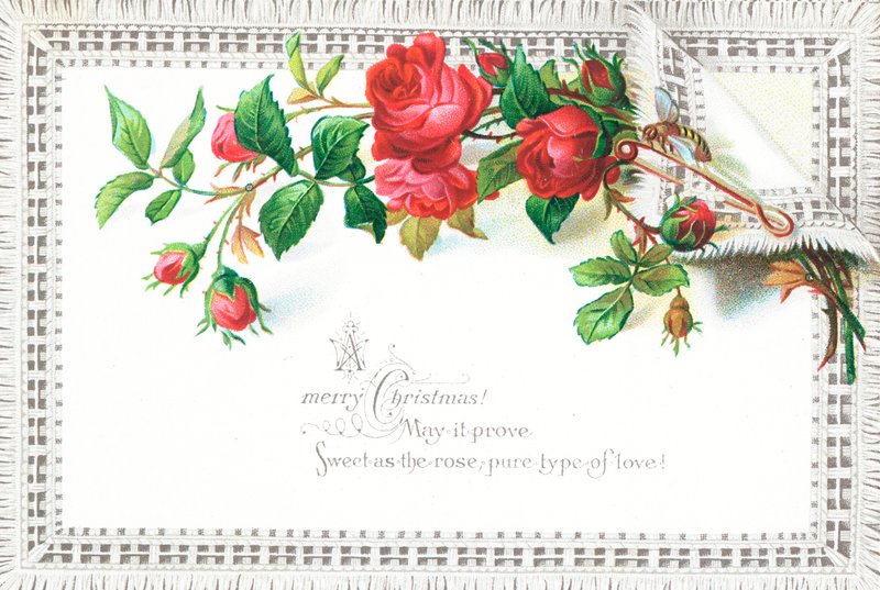 Kırmızı Güller ve Kelebek, Noel Kartı by English School