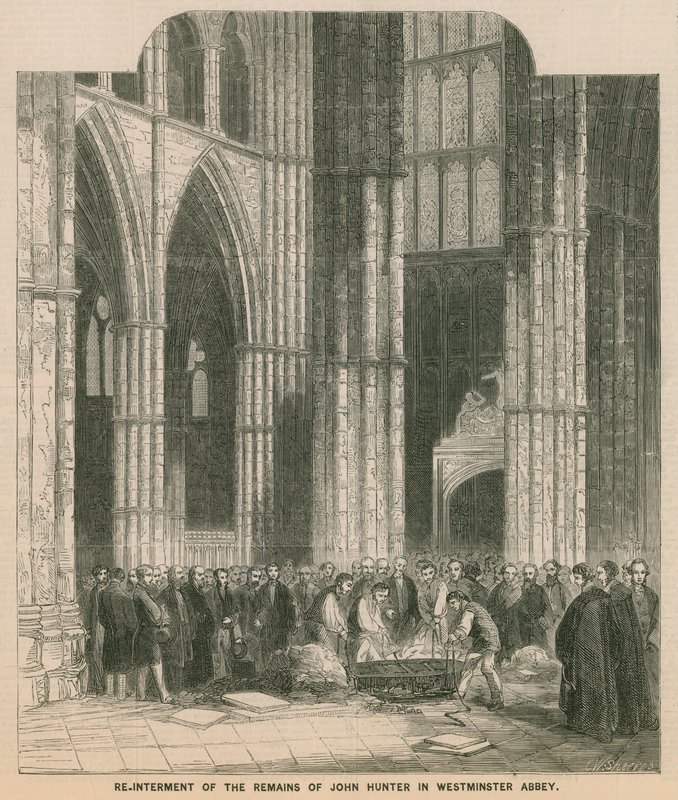John Hunters'ın yeniden gömülmesi Westminster Abbey'de kaldı by English School