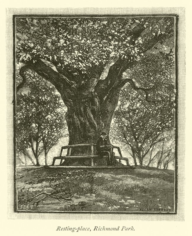 Dinlenme yeri, Richmond Parkı by English School