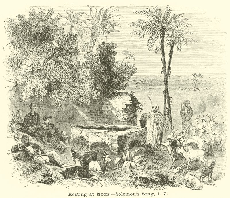 Öğlen Dinlenme, Solomons Song, i, 7 by English School