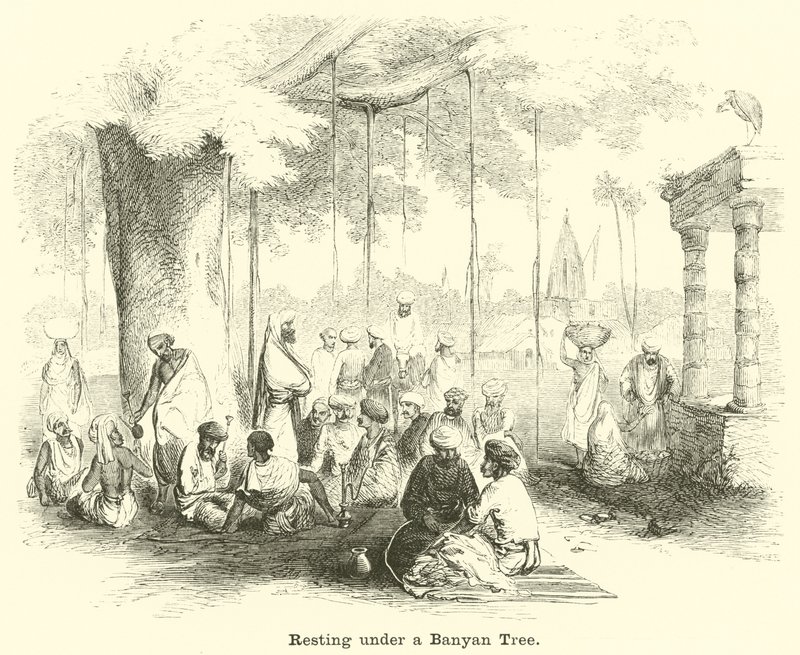 Banyan Ağacının Altında Dinlenmek by English School