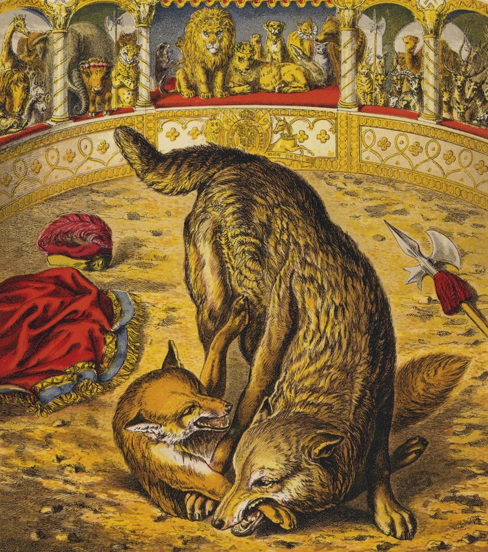Reynard Tilki by English School