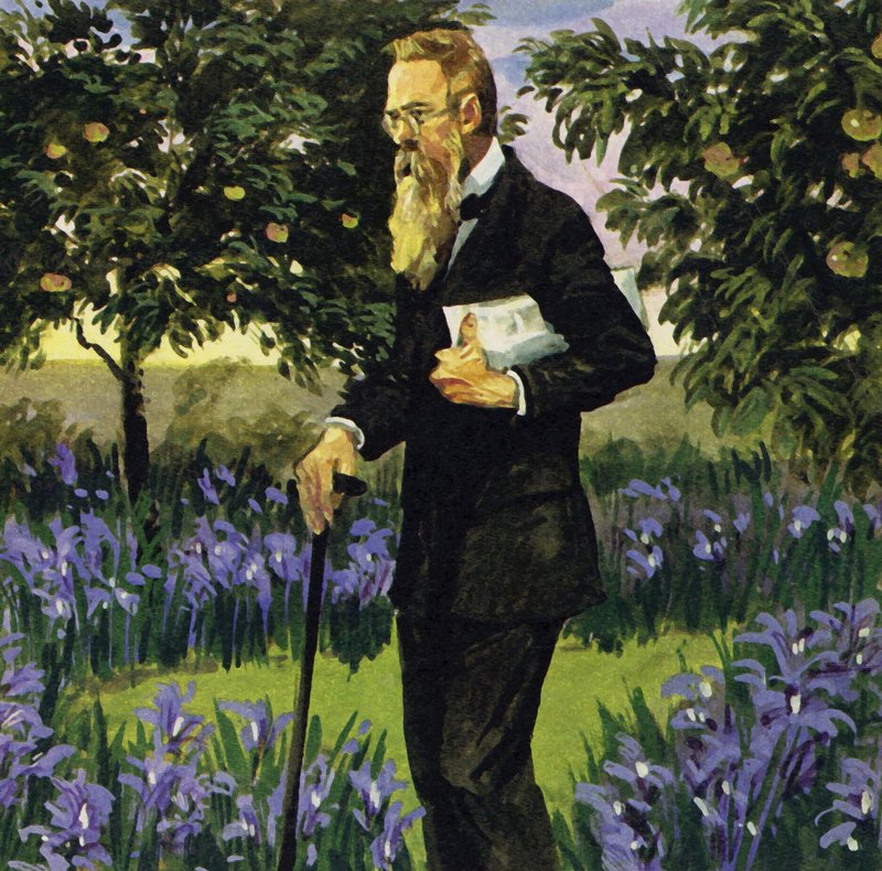 Rimsky-Korsakov kalp krizi geçirdi, ancak bahçesinde yürüyebilecek kadar iyileşti by English School
