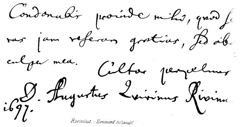 Rivinius, (Ünlü Botanikçi) by English School