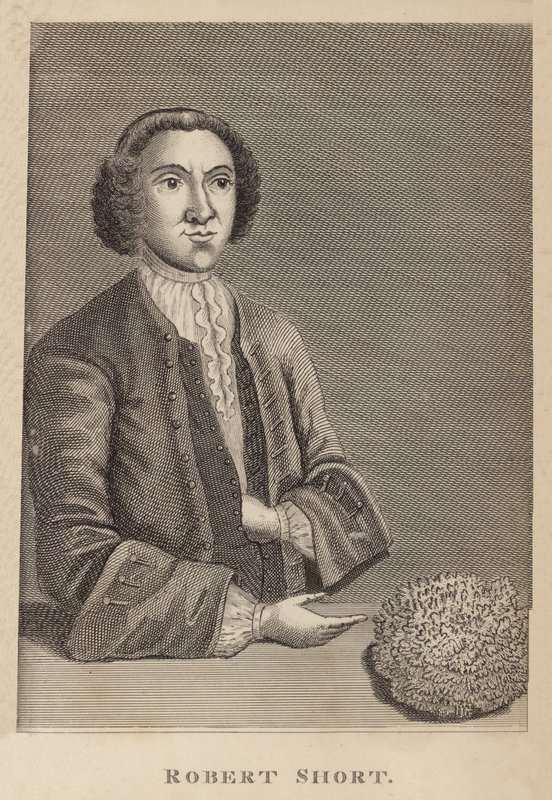 Robert Kısa by English School