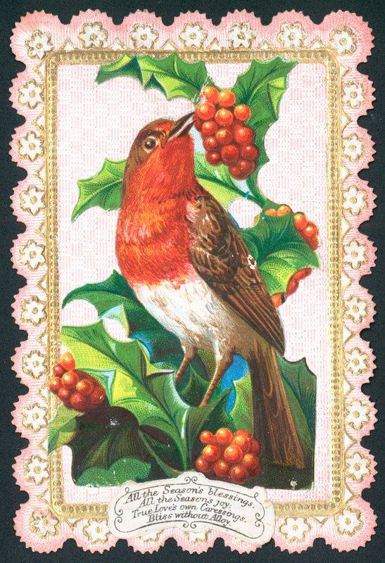 Robin çilek yiyor, Noel Kartı by English School