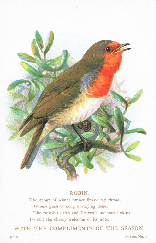 Robin dalda şarkı söylüyor, Noel Kartı by English School