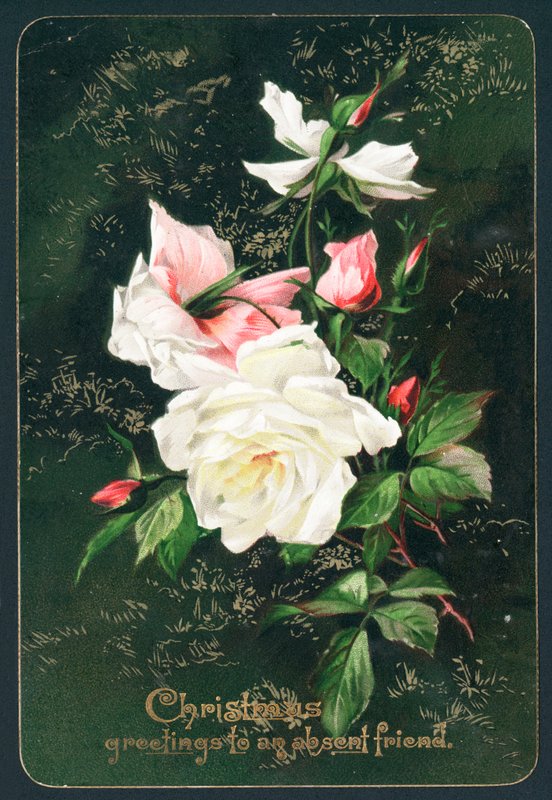 Güller, Noel Kartı by English School