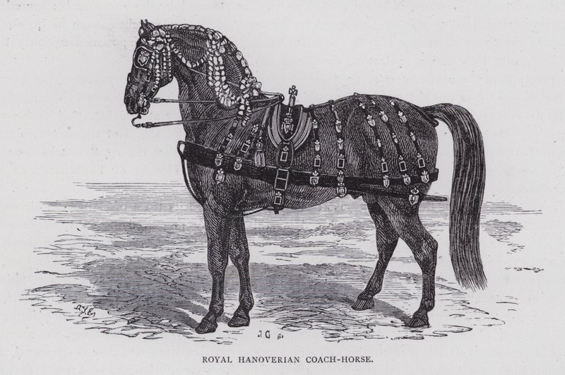 Kraliyet Hanoverian Koç-Atı (gravür) by English School
