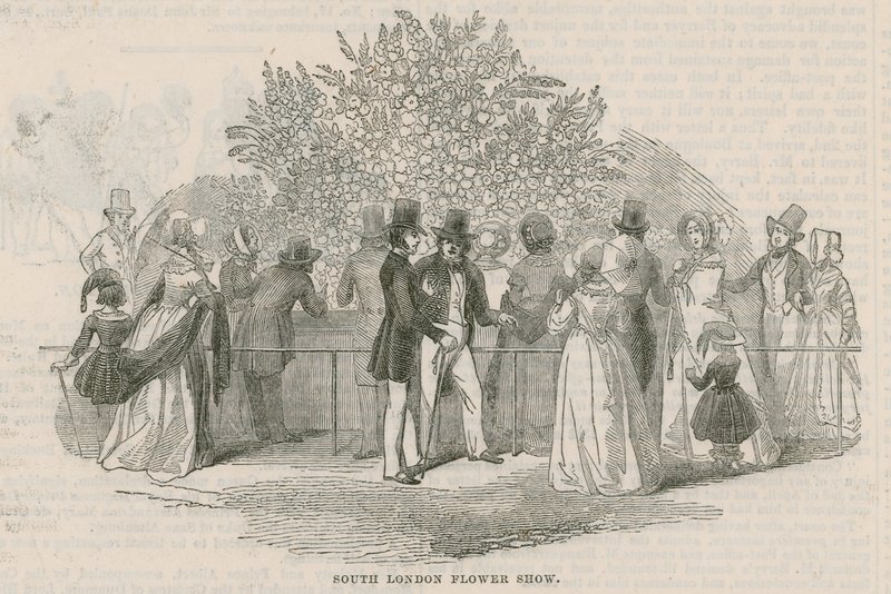 Kraliyet Güney Londra Bahçıvanlık Derneği by English School