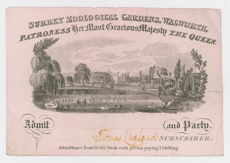Kraliyet Surrey Hayvanat Bahçeleri, giriş bileti by English School