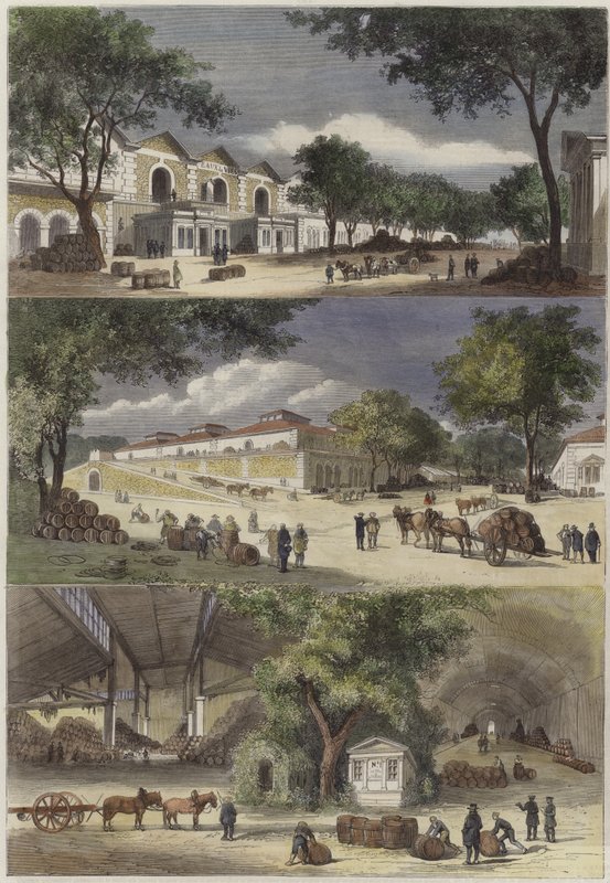 Languedoc ve Cote DOr Sokakları by English School