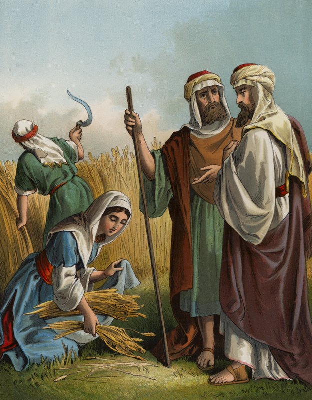 Ruth, Boaz (chromolitho) tarlasında toplanıyor by English School