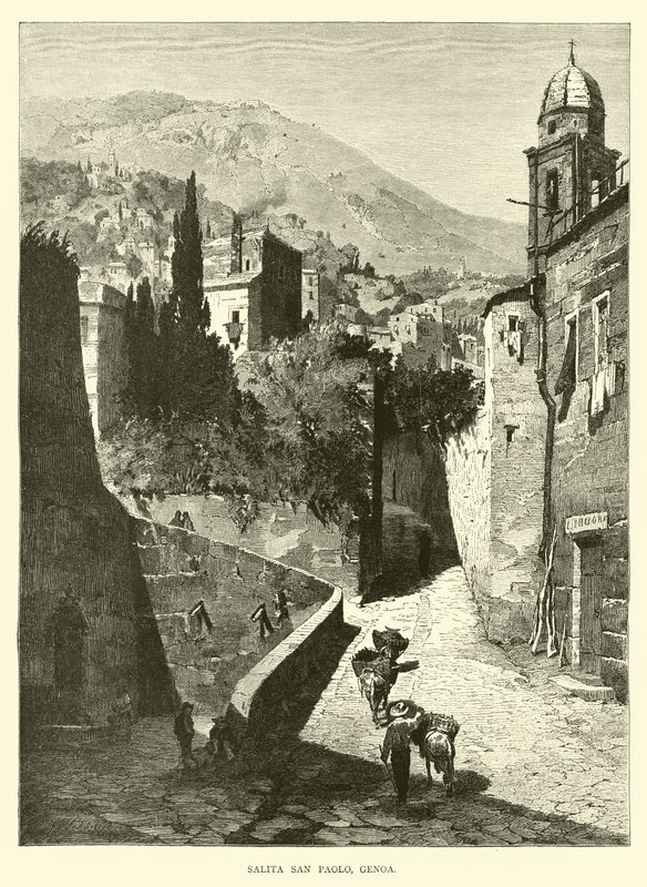 Ascent San Paolo, Cenova by English School