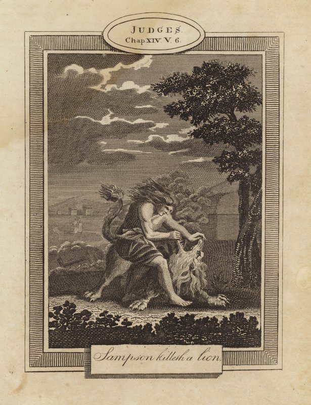 Samson bir aslanı öldürür by English School