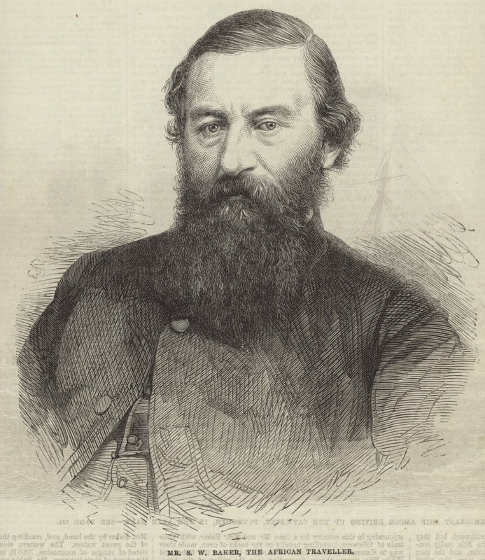 Samuel Beyaz Fırıncı by English School