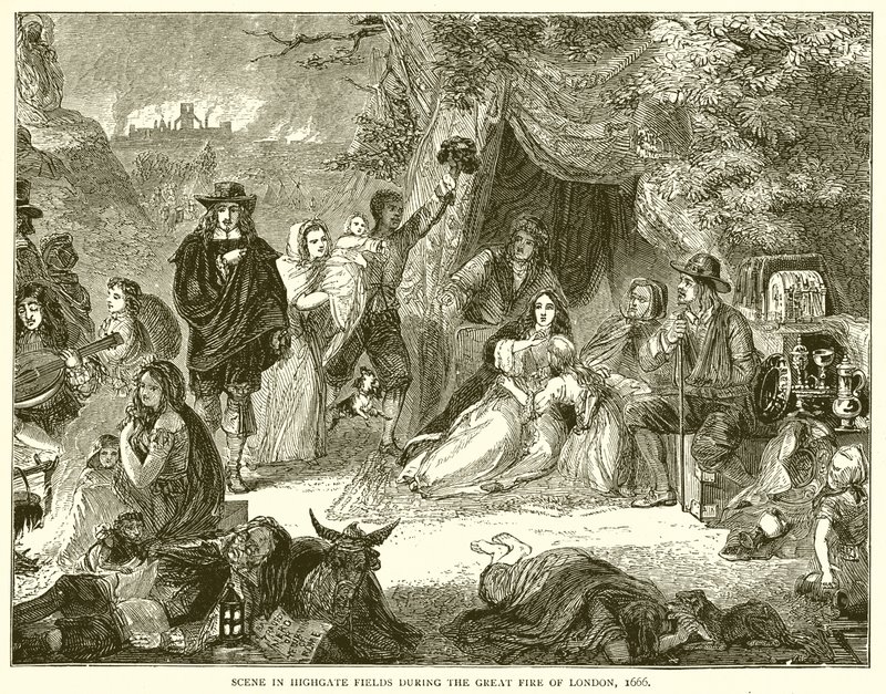 Highgate Fields
