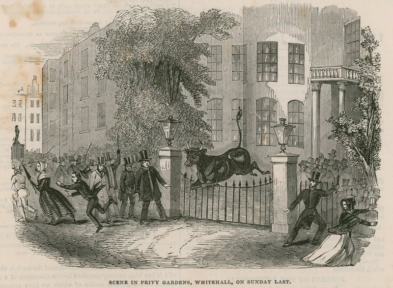 Özel Bahçelerde Sahne by English School