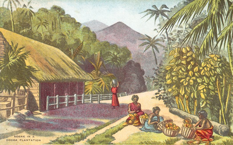 Bir kakao plantasyonundaki sahne (renkli taş) by English School