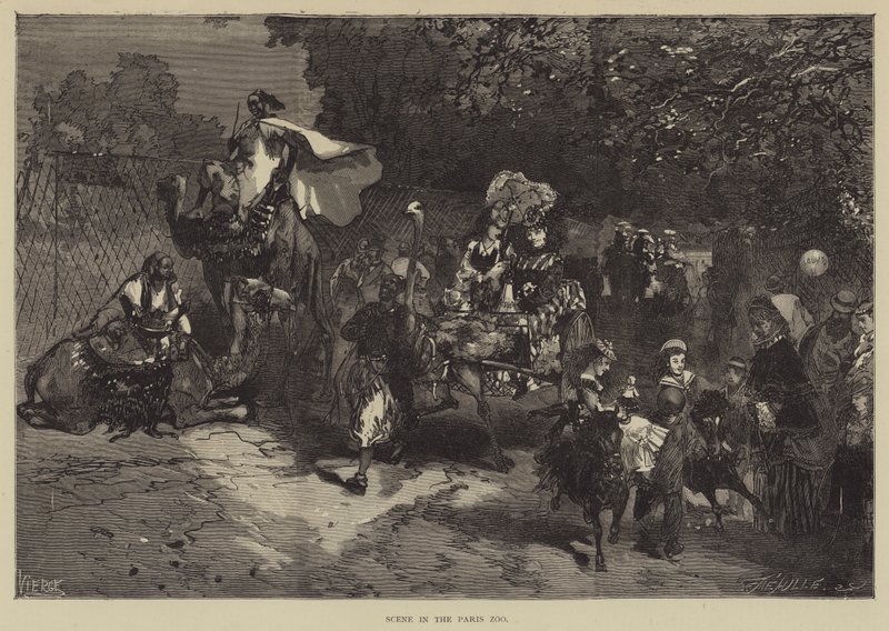 Paris Hayvanat Bahçesi sahnesi (gravür) by English School