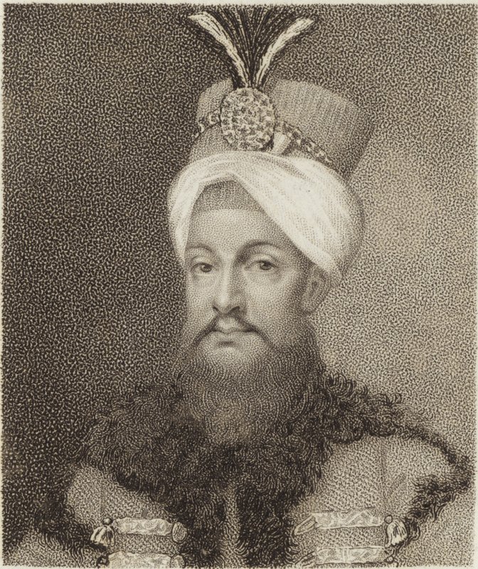 II. Selim by English School