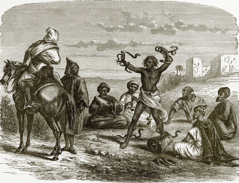 yılan büyücüleri by English School