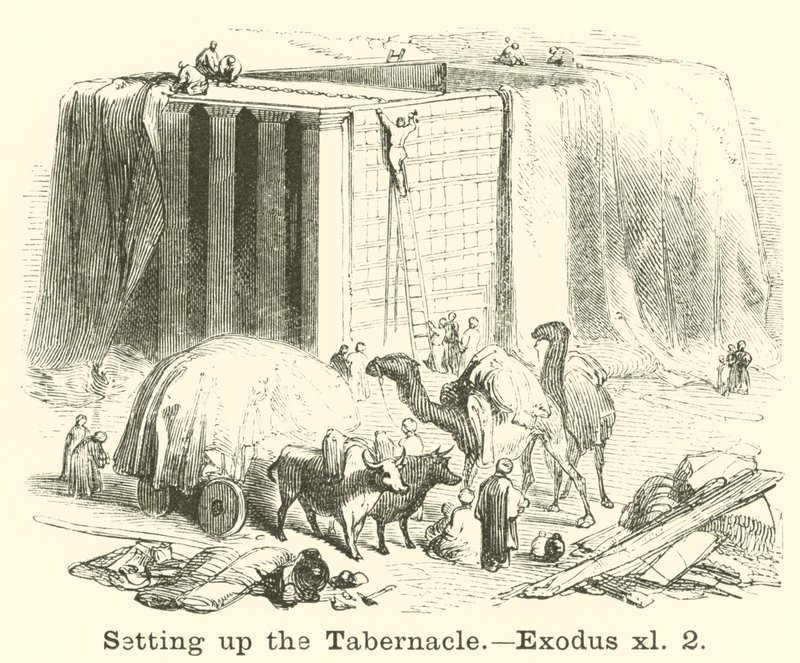 Çadırı Kurma, Çıkış, xl, 2 by English School