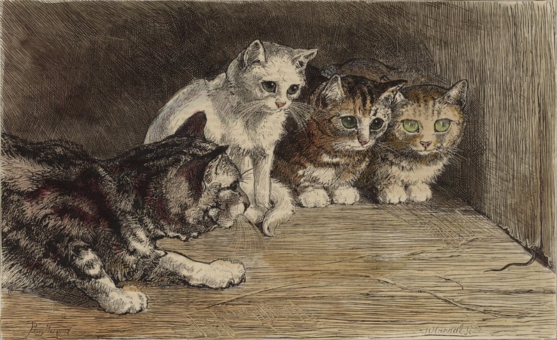 Bir farenin kuyruğuna bakan birkaç kedi (renkli gravür) by English School