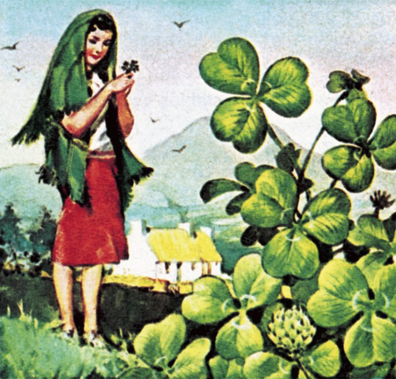 Yonca by English School