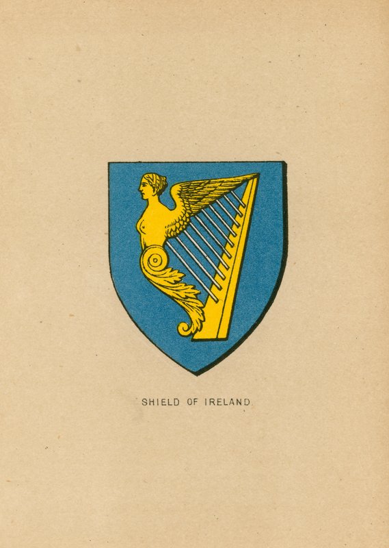 İrlanda Kalkanı by English School